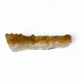 Citrin Kluster