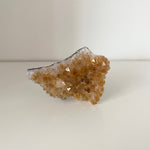 Citrin Kristall Kluster