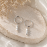 Howlit örhänge i sterling silver 