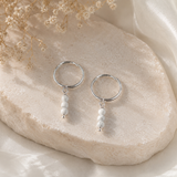 Howlit örhänge i sterling silver 